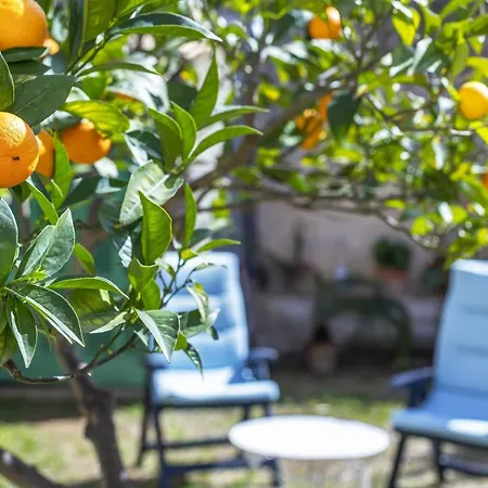 Bouganvillea Apartment Port De Soller